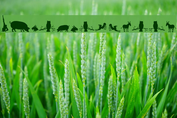 AnimalSilhouettesThree Font examples