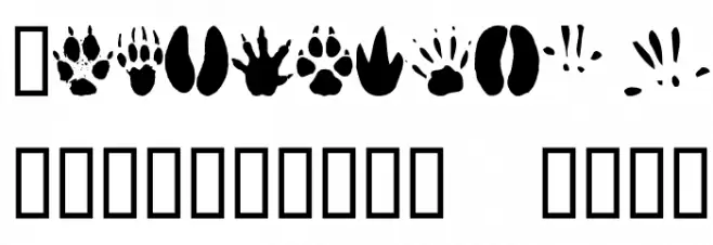 AnimalTracks Font OTHER CHARS