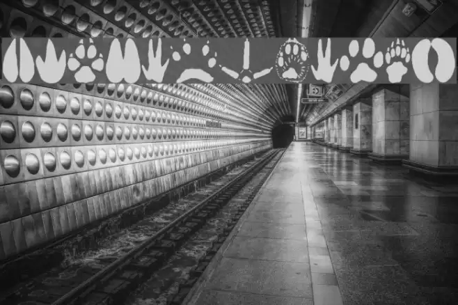 AnimalTracks Font examples