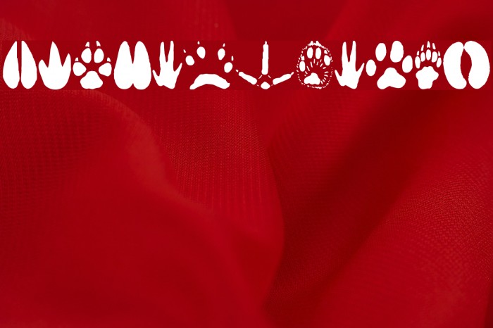 AnimalTracks Font examples