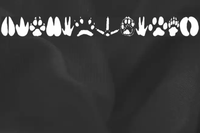 AnimalTracks Font examples