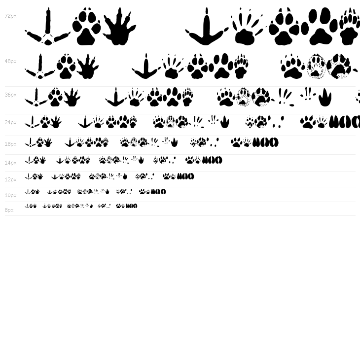 AnimalTracks Waterfall