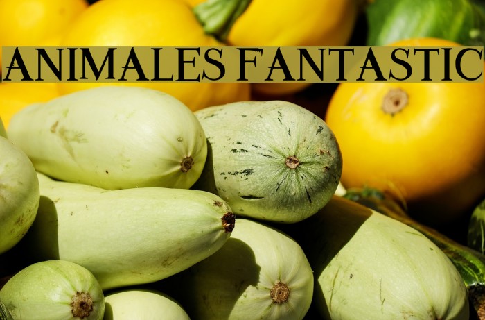 Animales Fantastic Example 2