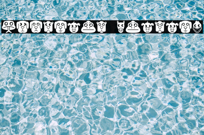Animales Regular Font examples