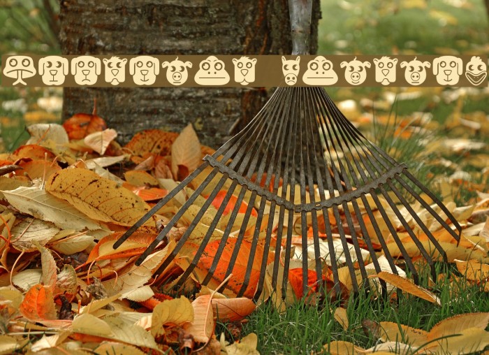 Animales Regular Example 1