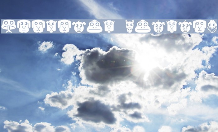 Animales Regular Example 2