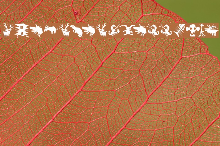 AnimaliaScissored Font examples