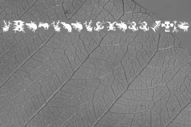 AnimaliaScissored Font examples