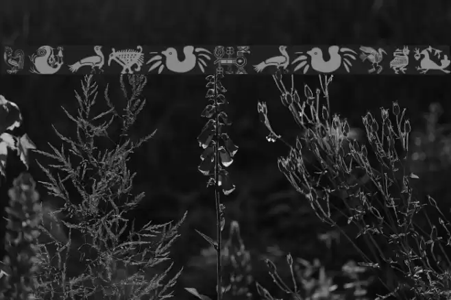 AnimaliaTwo Font examples