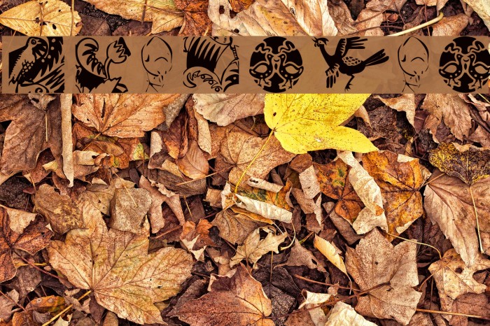 Animalia Font examples