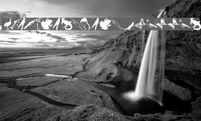 AnimalishSilhouettes Font examples