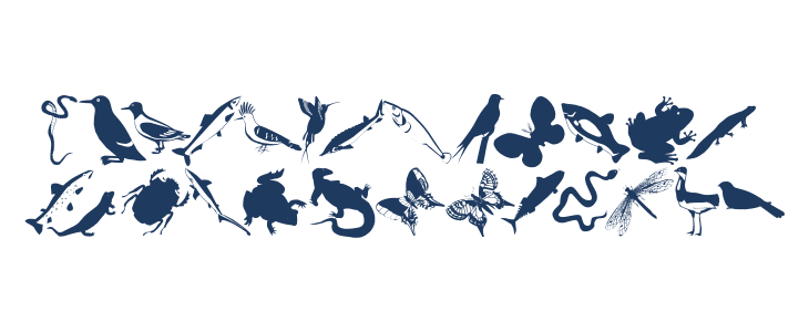 AnimalishSilhouettes Lowercase