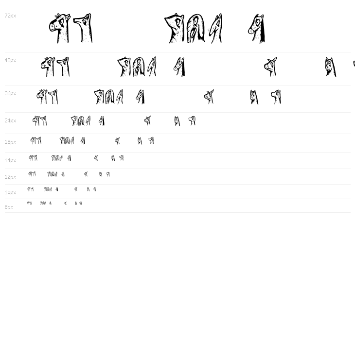 Animality Regular Waterfall