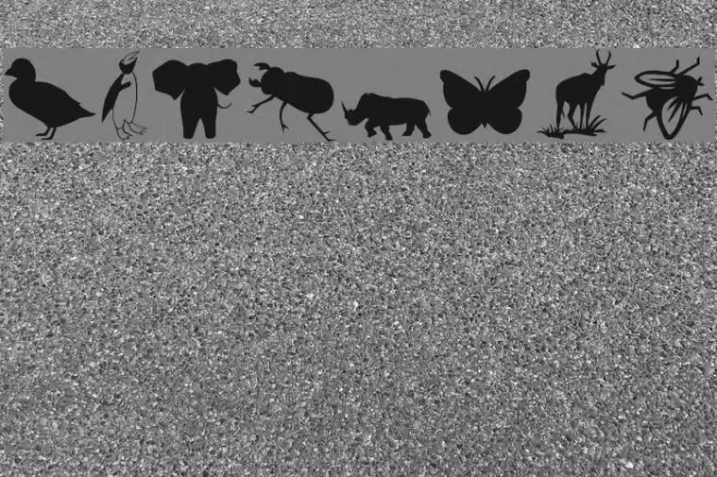 Animals 2 Font examples