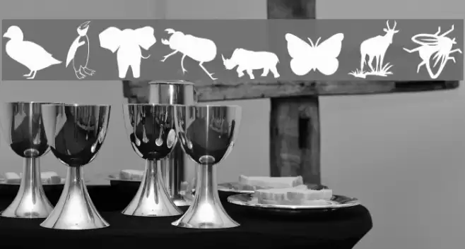 Animals 2 Font examples