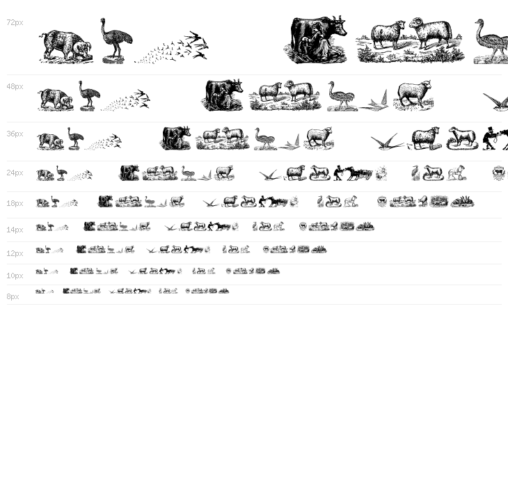 Animals Old Cuts Two Waterfall