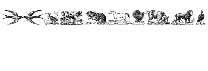 Animals Old Cuts Polices AUTRES CHARS