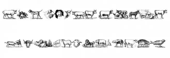 Animals Old Cuts Fonte MAIÚSCULAS