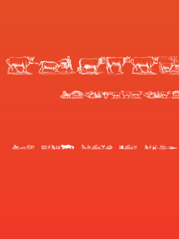 Animals Old Cuts Poster