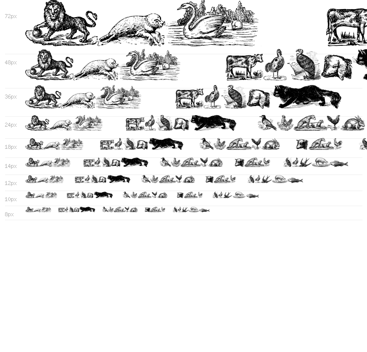 Animals Old Cuts Waterfall