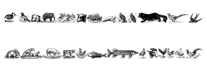 Animals Old Cuts Polices MINUSCULES