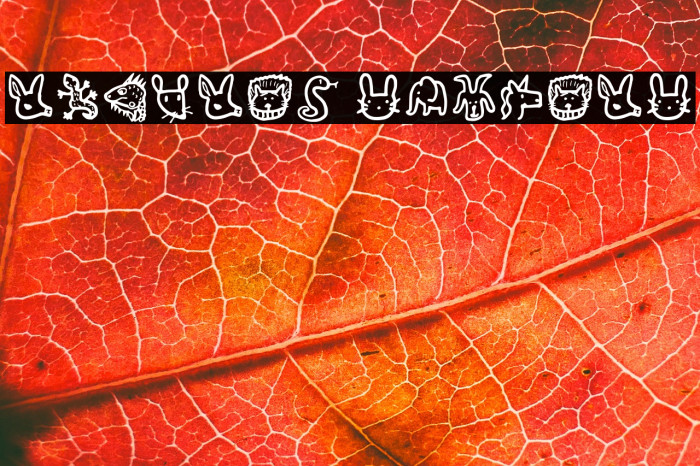 Animals Regular Example 1