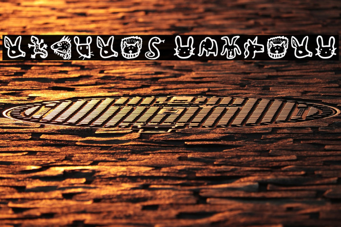 Animals Regular Example 3