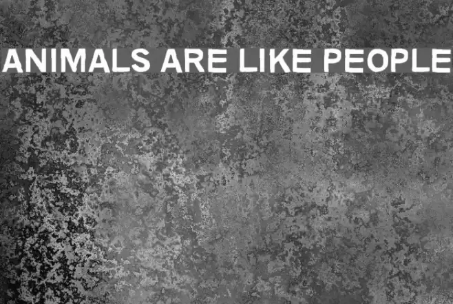 Animals are like people Font examples