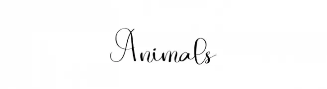 Animals  baixar fontes gratis