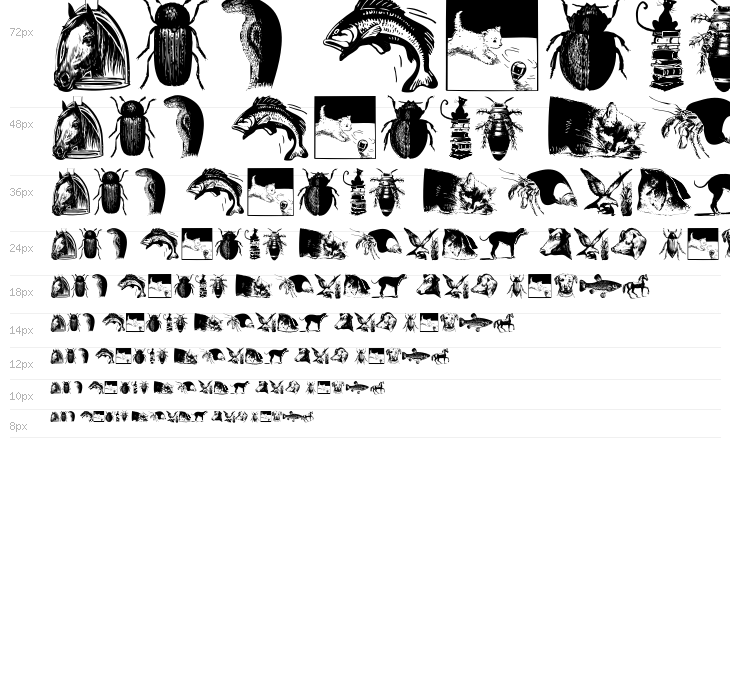 AnimalsOldfashion Waterfall