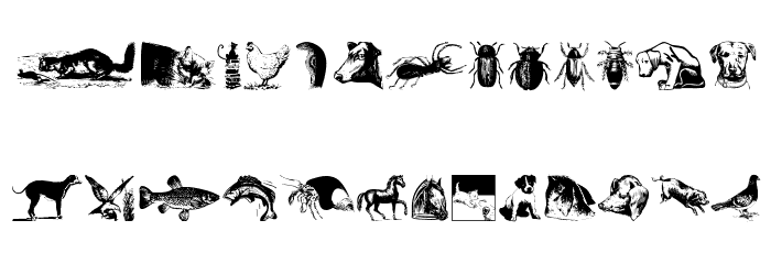 AnimalsOldfashion Font LOWERCASE