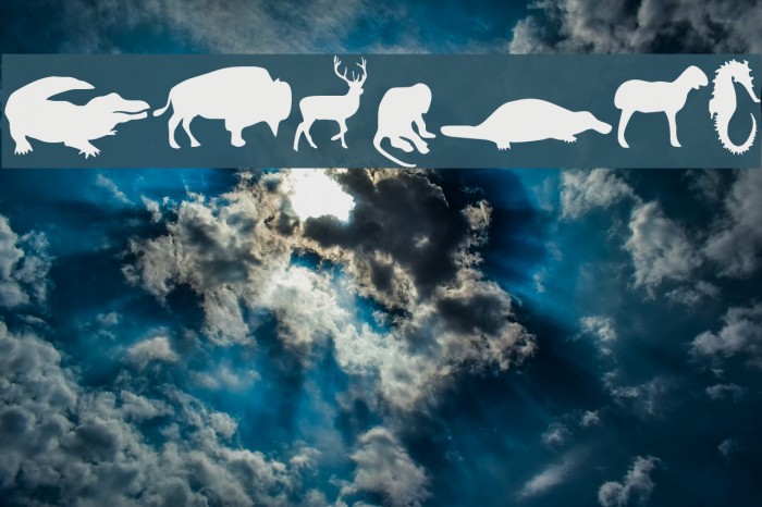 Animals Font examples