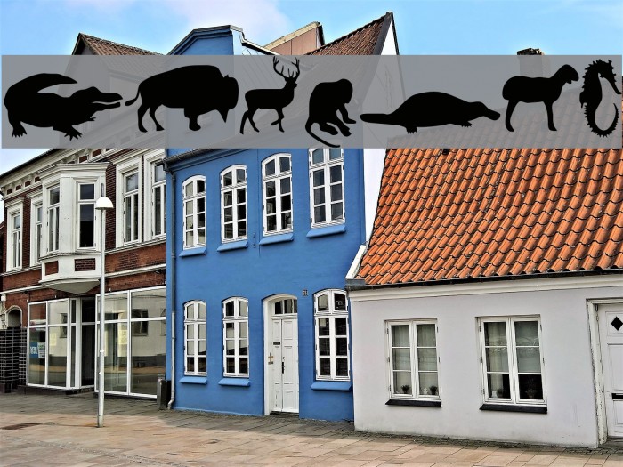 Animals Font examples