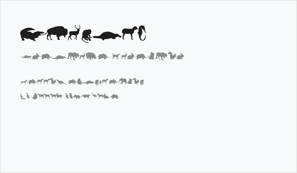 Animals Business Card