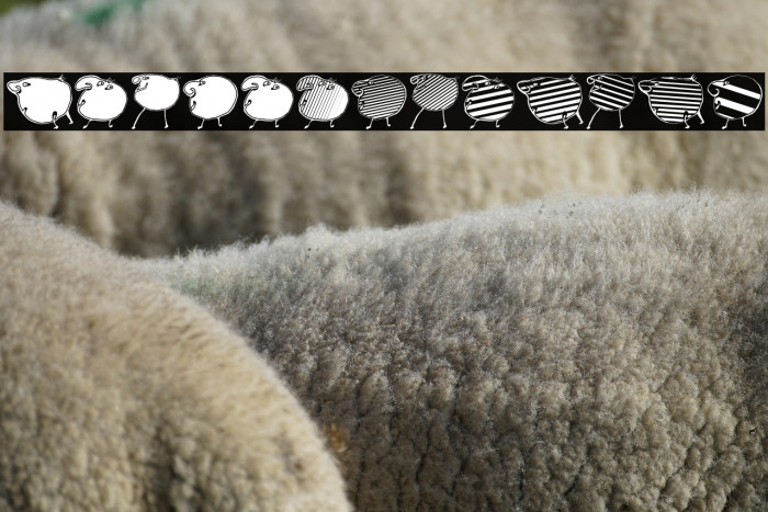 Animasyon Regular Example 1