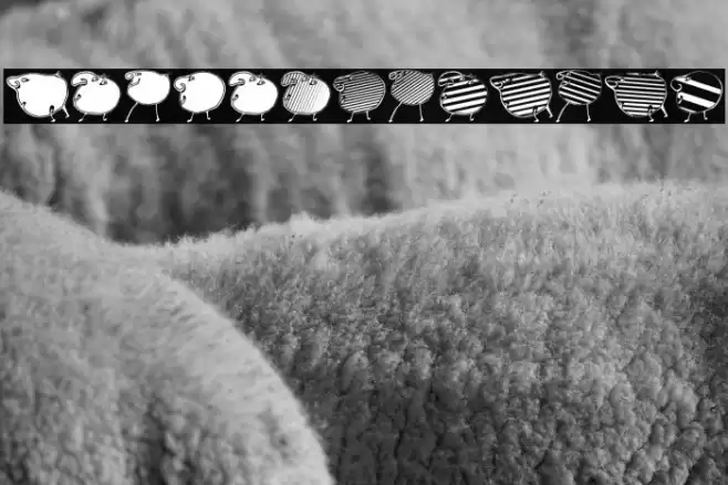 Animasyon Regular Font examples