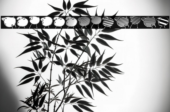 Animasyon Regular Example 2