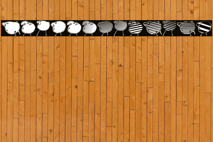 Animasyon Regular Example 3