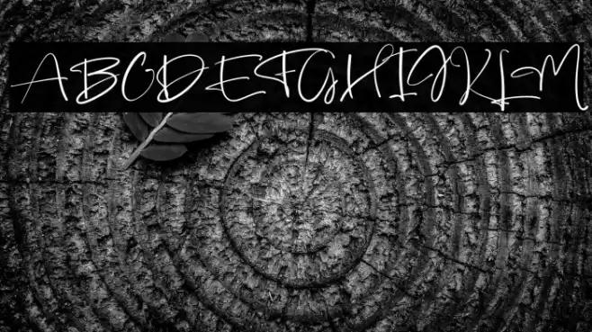 Animate फ़ॉन्ट examples