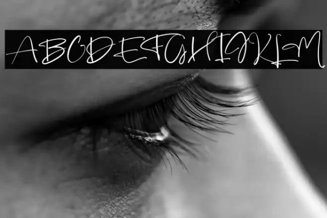 Animate फ़ॉन्ट examples