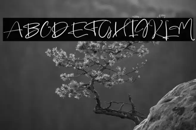 Animate फ़ॉन्ट examples