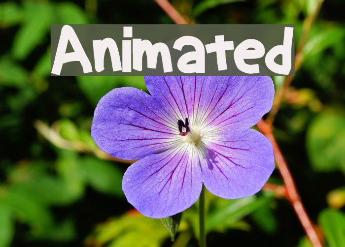 Animated Font examples
