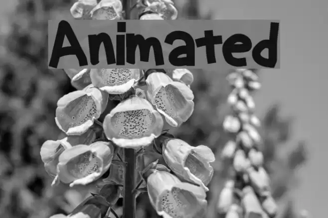 Animated Font examples