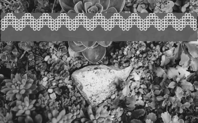 Anime Queen フォント examples