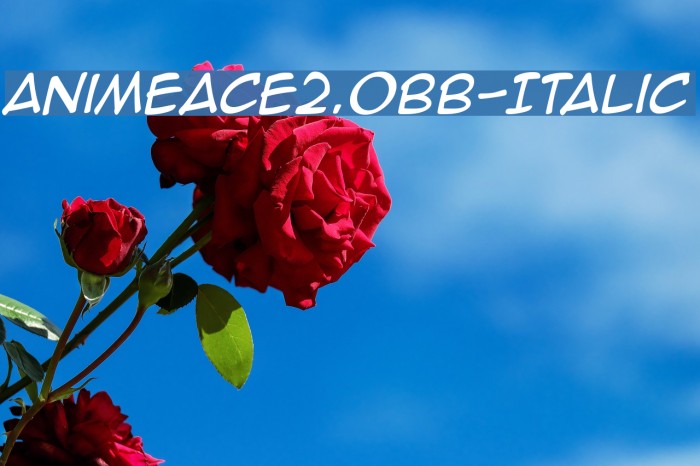 AnimeAce2.0BB-Italic Caratteri examples