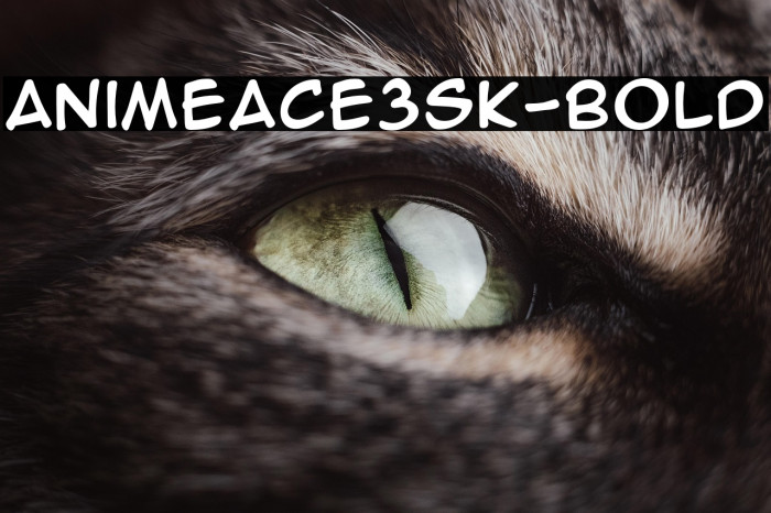 AnimeAce3SK-Bold Example 1