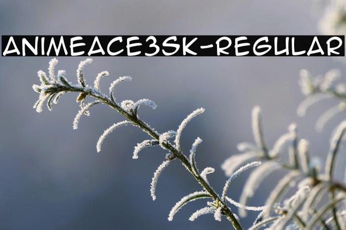 AnimeAce3SK-Regular Example 3