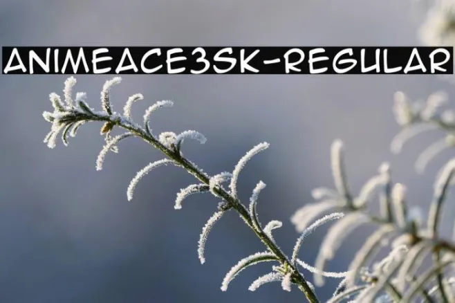 AnimeAce3SK-Regular Example 3