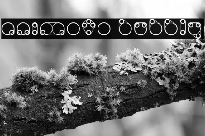 Animoto Bubbly Font examples