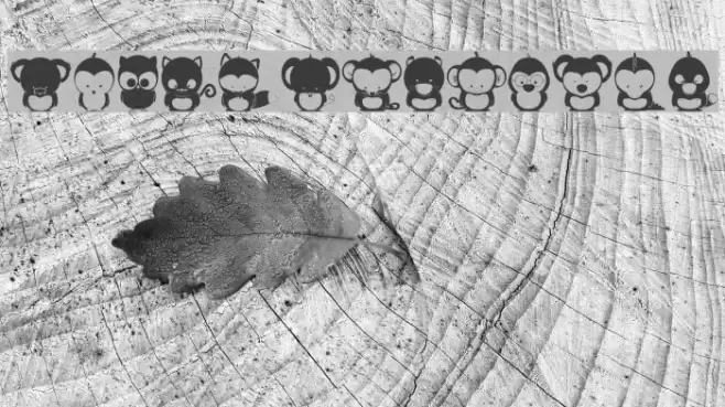 Animox Font examples